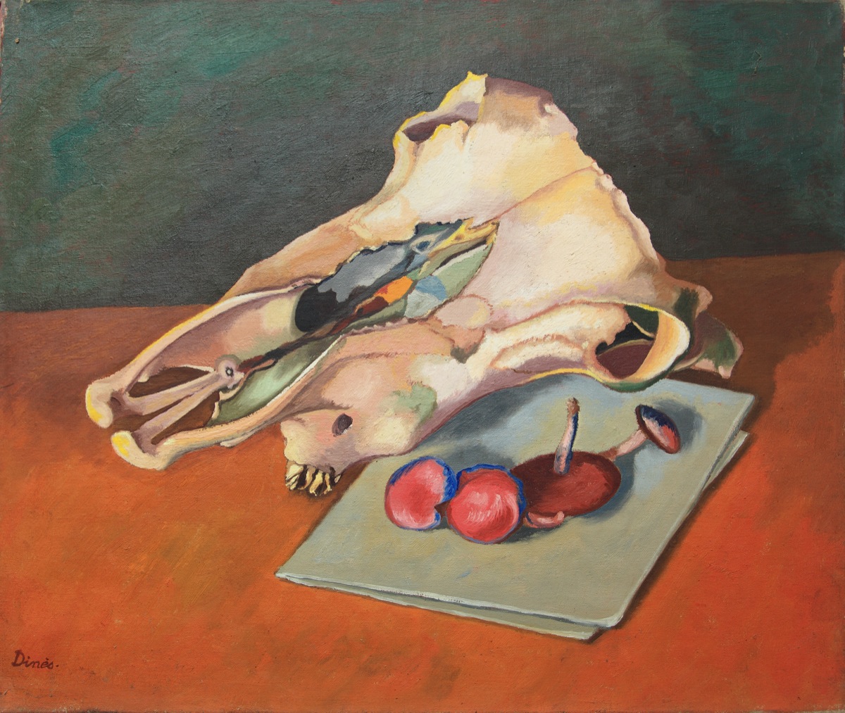 Nature morte au crâne de cheval et aux champignons_0