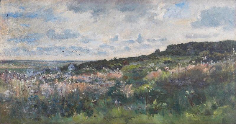 Champs en fleurs, Paul Jouanny, 2e moitié 19e siècle