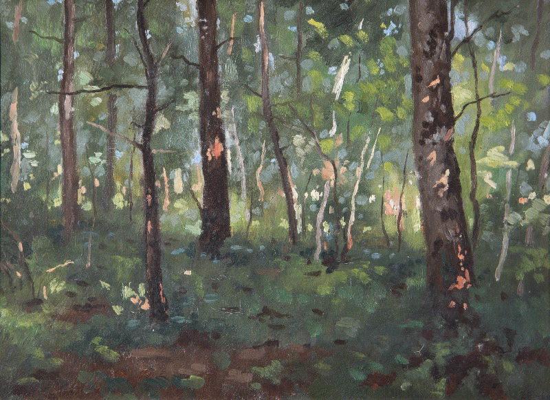 Sous-bois, Paul Jouanny, 2e moitié 19e siècle