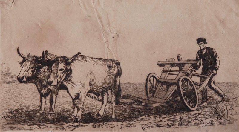 Scène à la charrue et aux boeufs, Émile Vaucanu, 4e quart 19e siècle