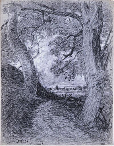Chemin entre deux arbres, Théophile Narcisse Chauvel, 1878