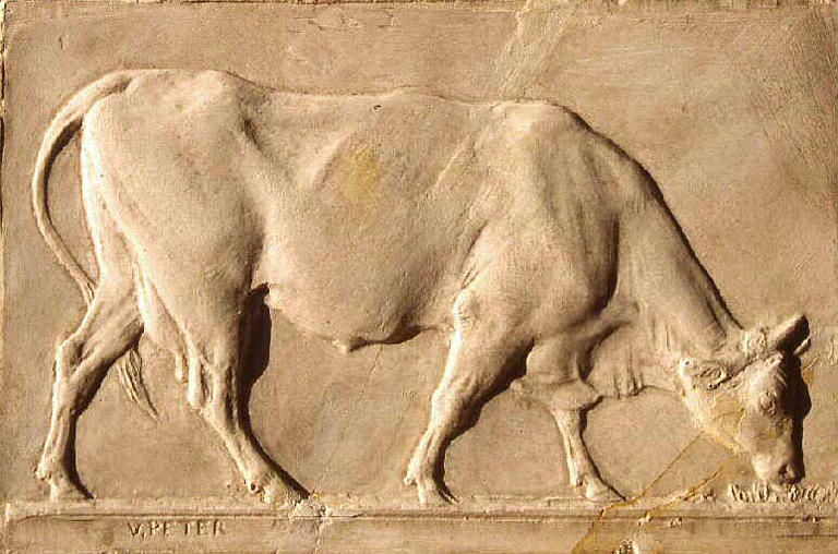 Vache paissant_0