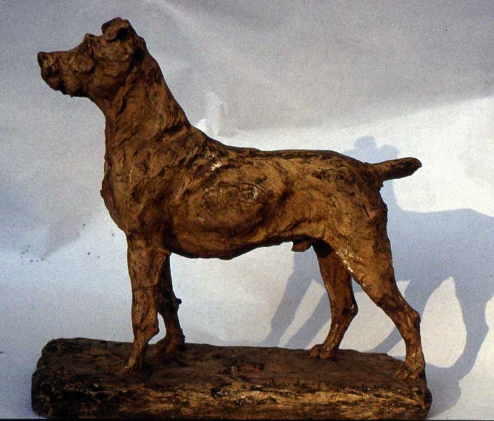 Irish-terrier, (De) Louis Monard, 1908