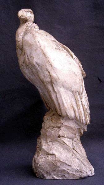 Vautour, (De) Louis Monard, 1909