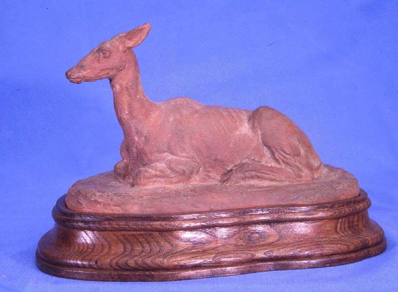 Biche couchée, Richard Fath, 20ème siècle