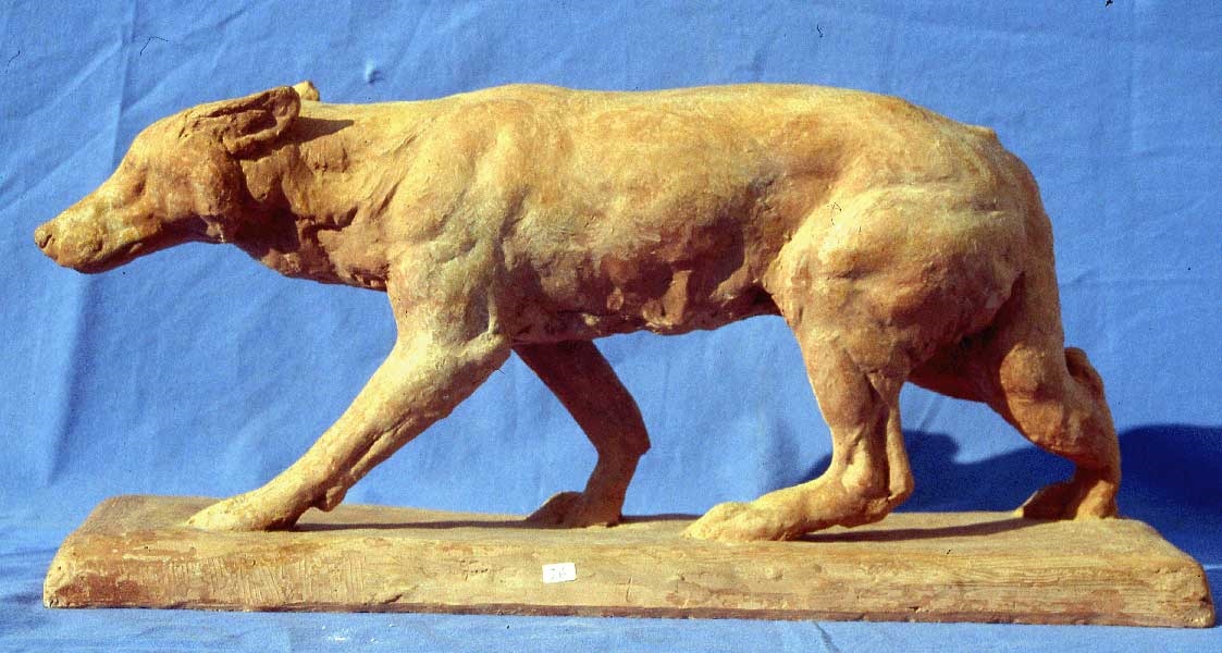 Loup marchant, Richard Fath, 20ème siècle
