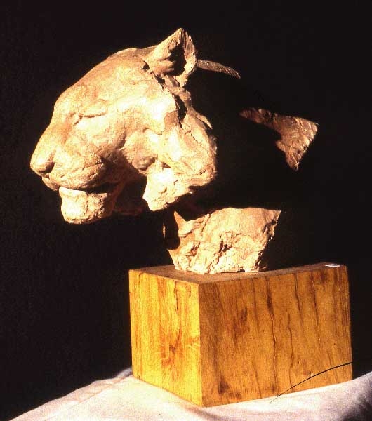 Tête de tigre, Richard Fath, 20ème siècle