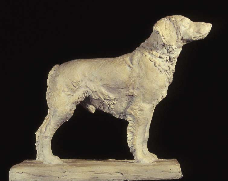 Epagneul breton, Caiz de Cornouailles, Richard Fath, 20ème siècle