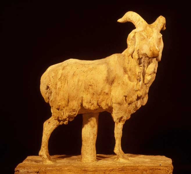 Mouflon de Sardaigne, Guido Righetti, 1922