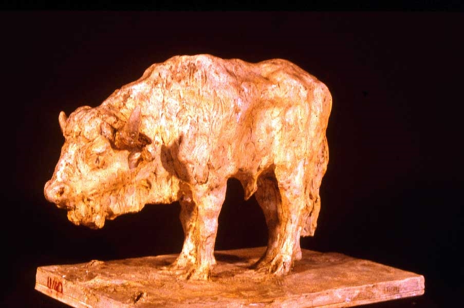 Bison, Guido Righetti, 20ème siècle 1ère moitié