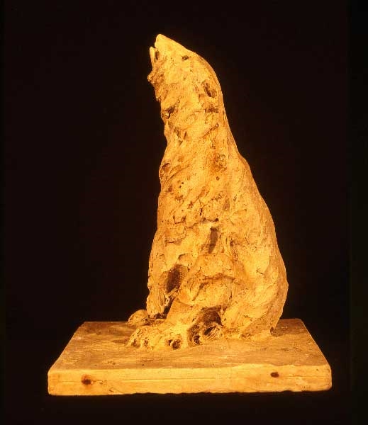 Ours polaire assis, tête levée, Guido Righetti, 20ème siècle 1ère moitié