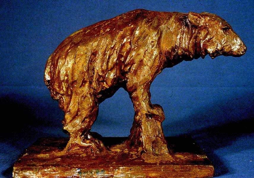 Ours brun, pattes sur un rocher, Guido Righetti, 20ème siècle 1ère moitié