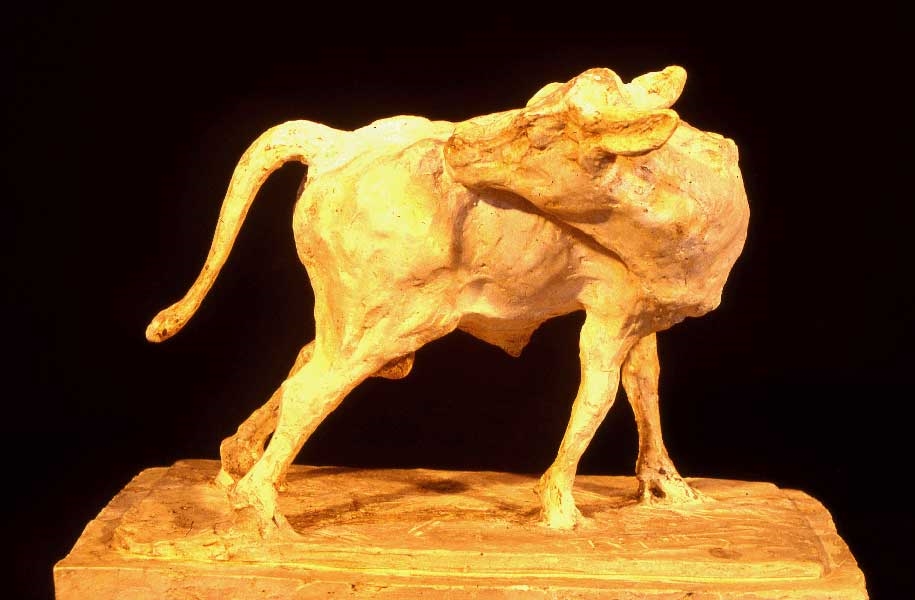 Veau se grattant, Guido Righetti, 20ème siècle 1ère moitié
