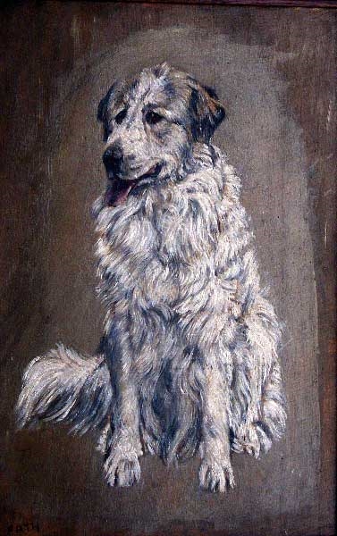 Jeune Montagne des Pyrénées (chien), Richard Fath, 20ème siècle 1ère moitié