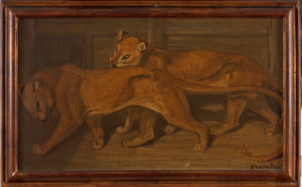 Deux lionnes marchant de profil gauche_0