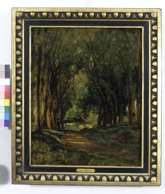 Sous-bois, Paul Jouanny