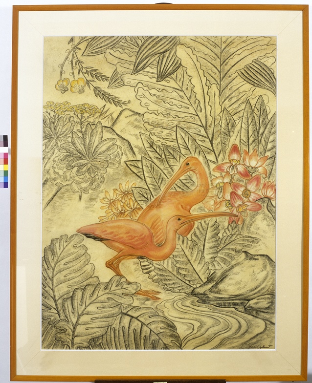 Ibis roses_0