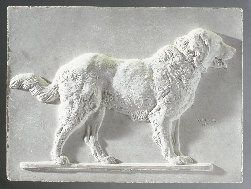 Chien Saint-Bernard, Victor Peter, 1912