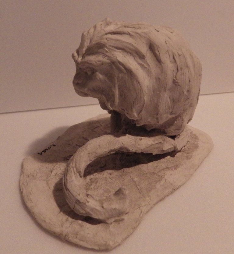Marmouset Golden Lion, Guido Righetti, 1916