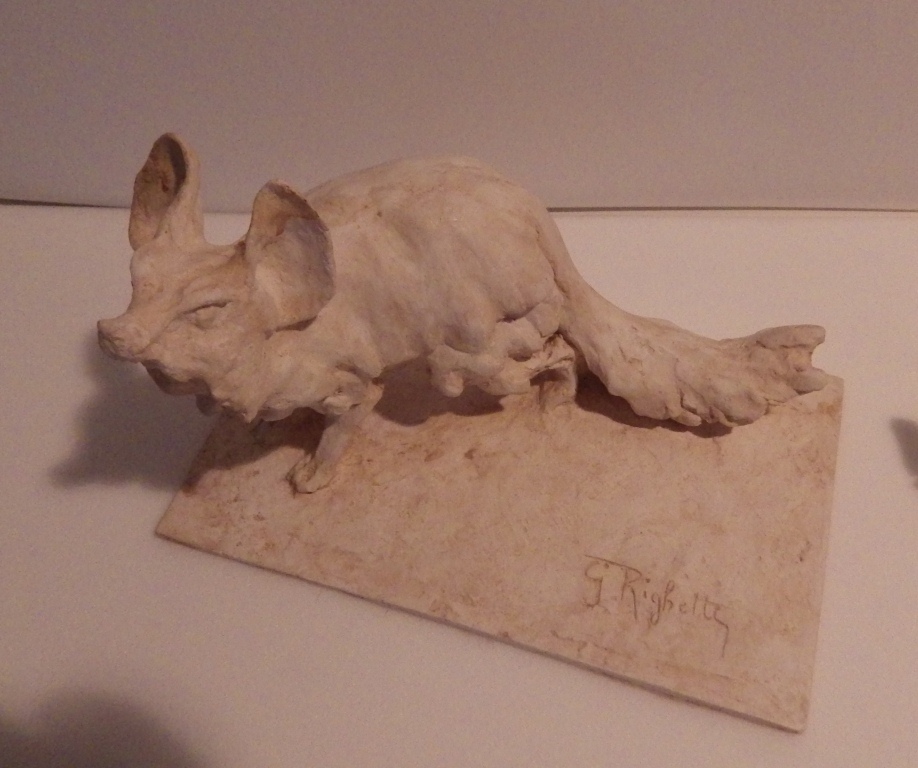 Fennec, Guido Righetti, 20ème siècle 1ère moitié