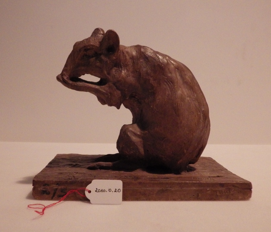 Agouti mangeant, Guido Righetti, 1916