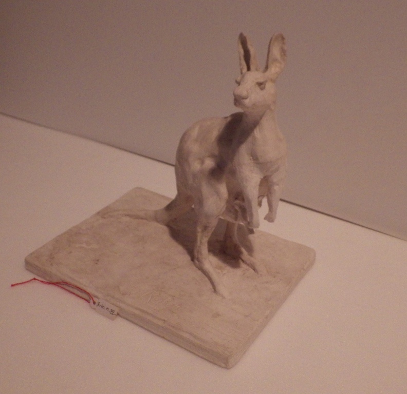 Kangourou gris tête levée, Guido Righetti, 1922