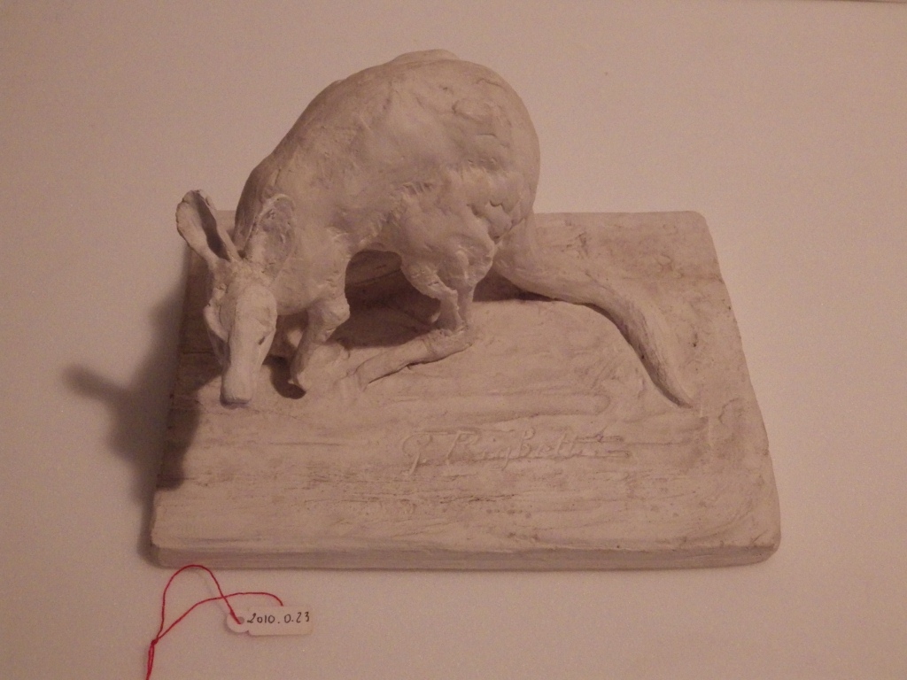Kangourou gris tête baisée, Guido Righetti, 1922