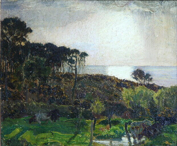 Varengeville. Soleil couchant sur la lande_0