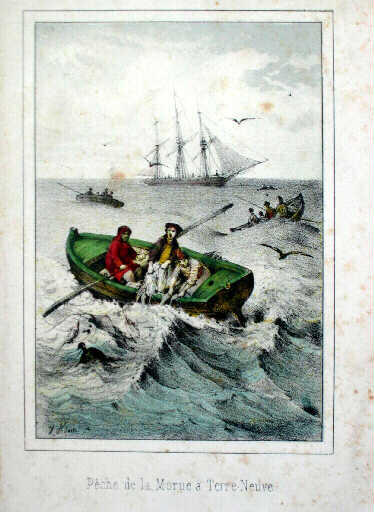 Pêche de la morue à Terre-Neuve_0