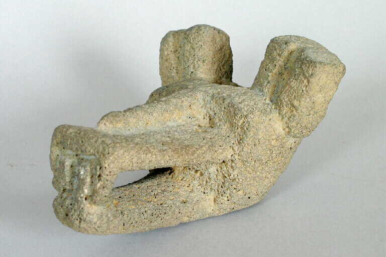 Tête de coyote_0