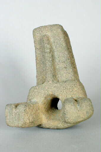 Tête de coyote_1
