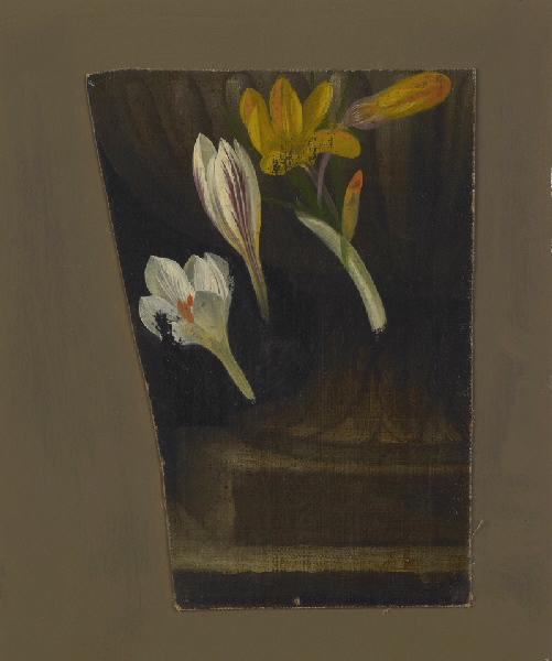 Crocus, Moïse Jacobber, 1863 avant