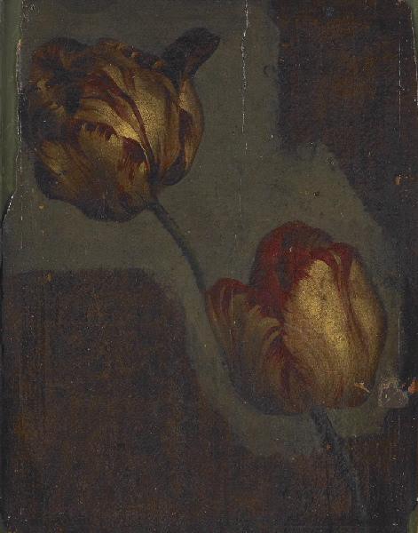 Tulipes ; Etude de tulipes, Moïse Jacobber, 1863 avant