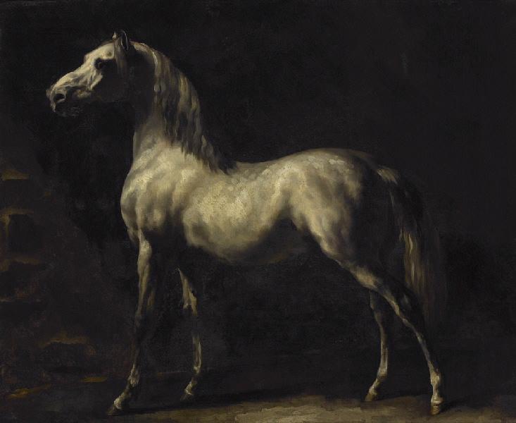 Cheval gris (titre moderne) ; Étude de cheval blanc (titre ancien)_0