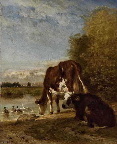 Vaches à l'abreuvoir, Constant Troyon, 1850