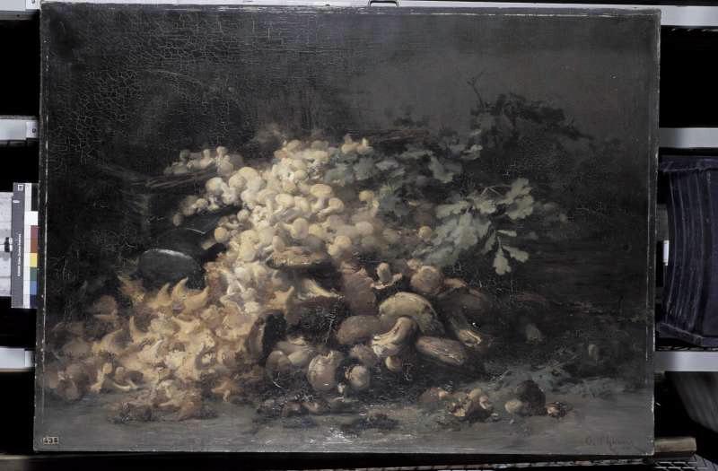 Champignons (nature morte), Gabriel Thurner, 1907