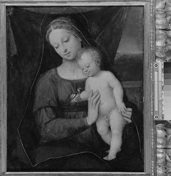 La Vierge au chardonneret_0
