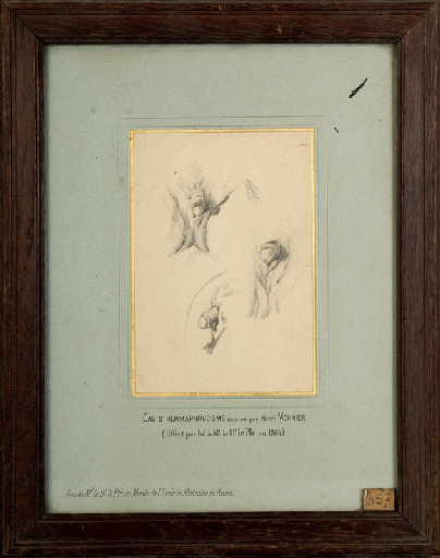 Cas d'hermaphrodisme_0