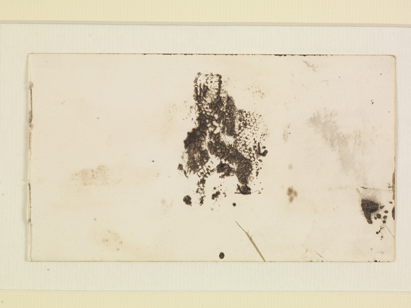 Application de dentelle, Victor Hugo, 1856