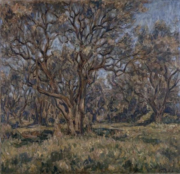 Oliviers à Cagnes (Var), Germain David-Nillet, 1913