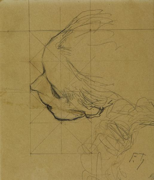 Tête en raccourci ; Etude pour 'Les bouches inutiles' (de la série), Francis Tattegrain, 1895 vers