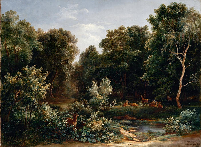 Intérieur de la forêt de Fontainebleau_0