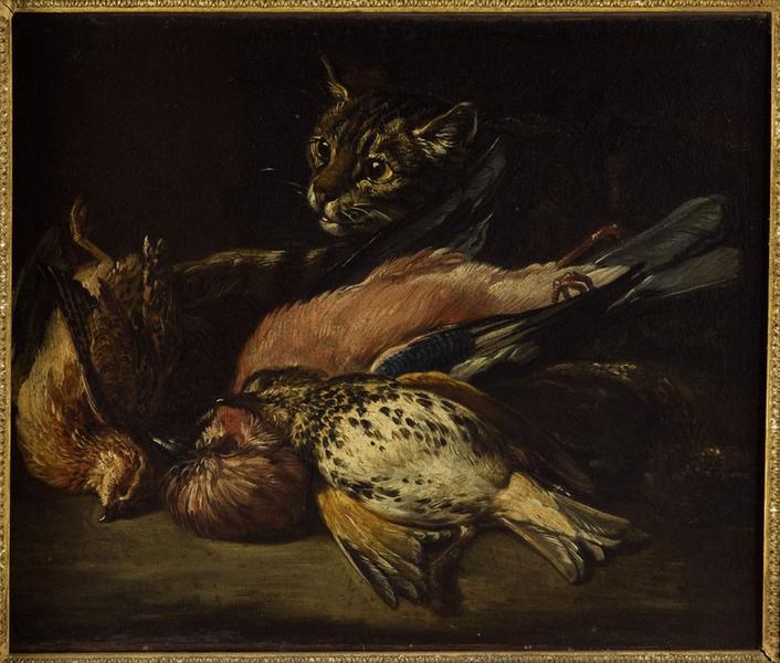 Chat convoitant du gibier_0