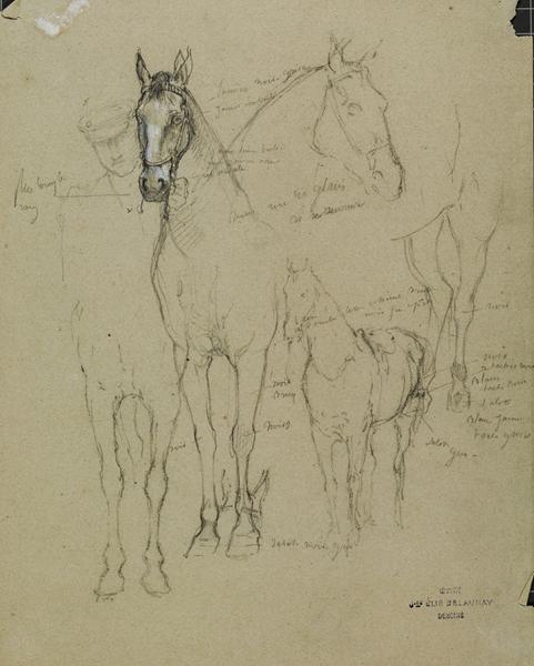 Etude de cheval, Jules Elie Delaunay, 4e quart 19e siècle
