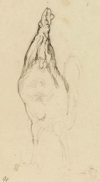 Un coq, Jules Elie Delaunay, 4e quart 19e siècle