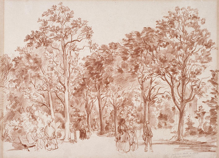 Jardin des Plantes à Nantes, allée des Magnolias, Olivier de Wismes, 4e quart 19e siècle