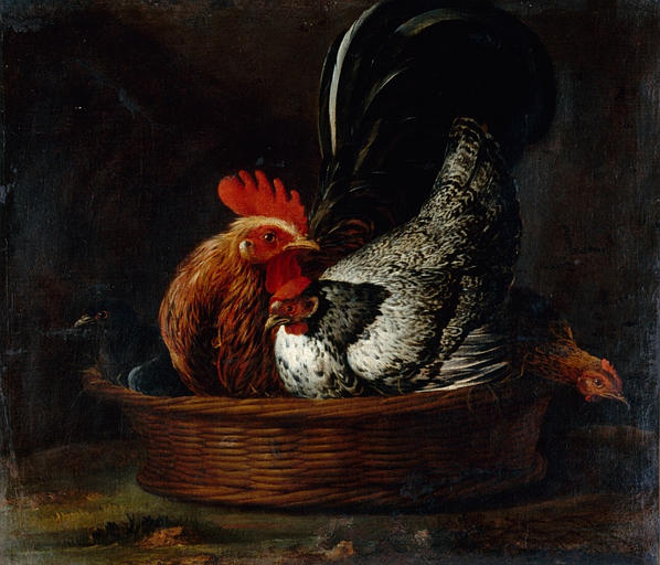 Volailles, Pieter Boel, 1662