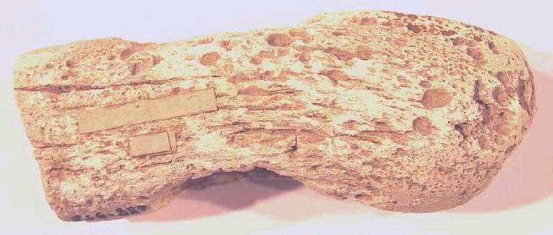 Gaine (perforé, fragment)_0