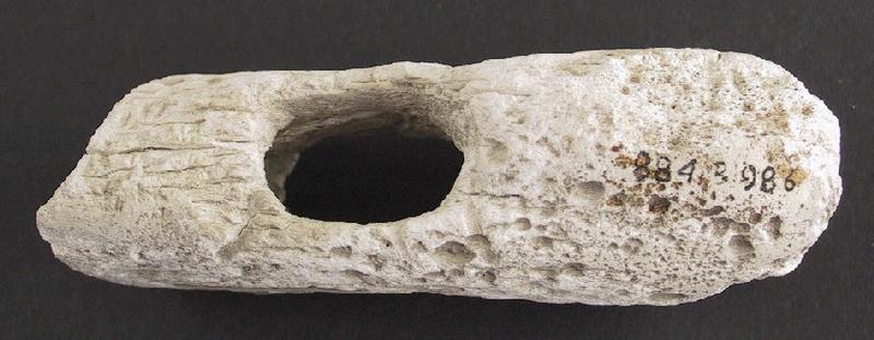 Gaine (perforé, fragment)_1