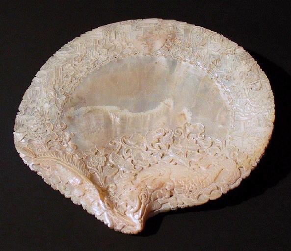 Coquillage_0